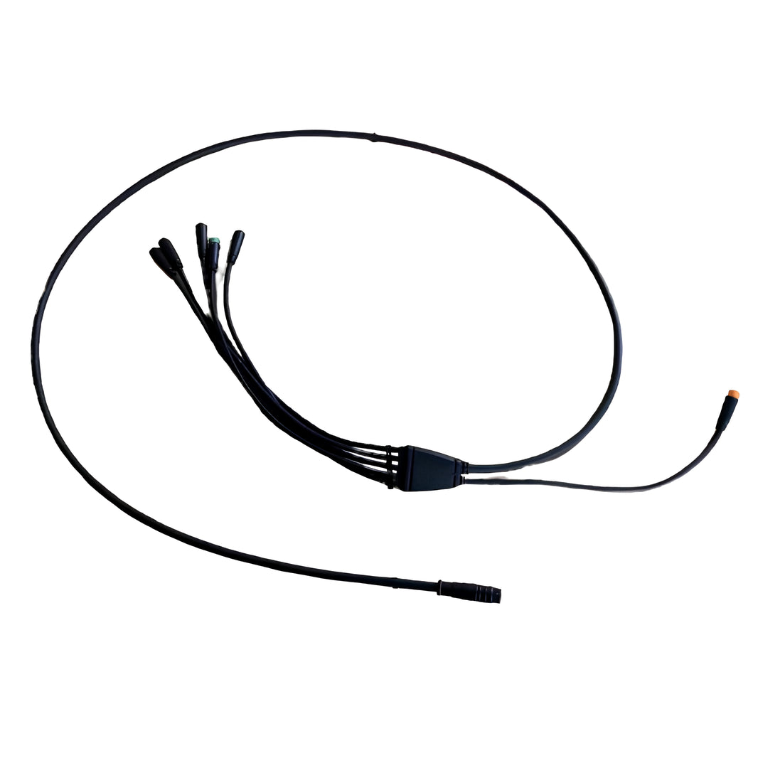 Z20 PLUS pagrindinis laidas
